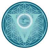 Netzwerk Tierkommunikation Logo Netzwerk Tierkommunikation